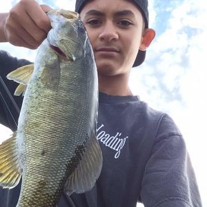 Meet your Posher, Joshua reynaldo